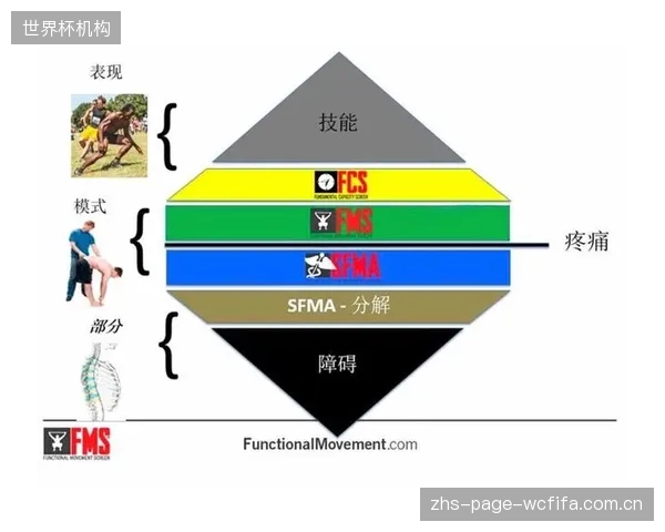 FMS、Y-Balance、SFMA标准不一，生物力学数据何时才能走出“一院一标准”的互通困境？